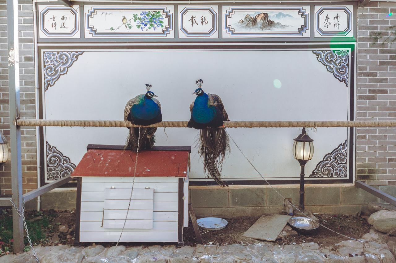 Yinfeng Hotel Dali  Zewnętrze zdjęcie